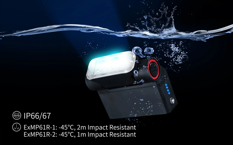 Goaltek ExMP61R-2