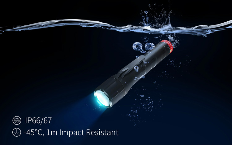 Goaltek ExMP21R