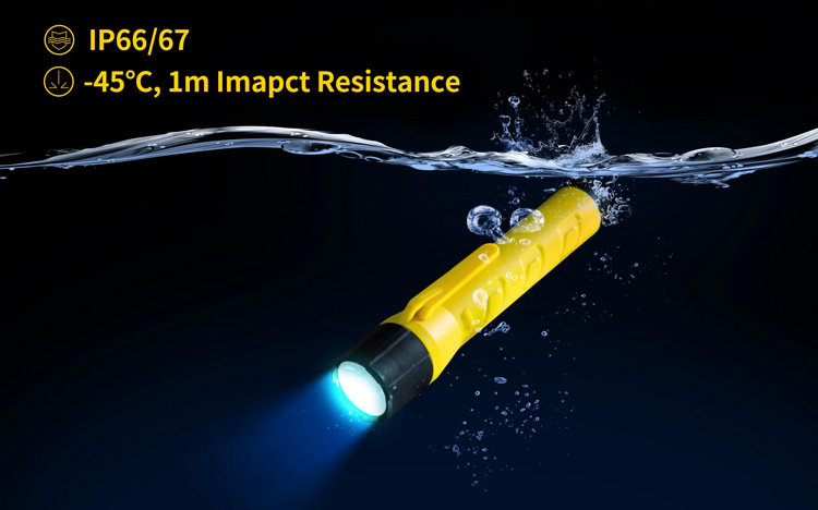 Goaltek INMP21N