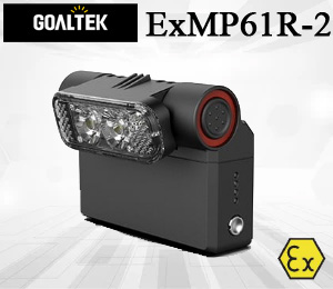 Goaltek ExMP61R-2