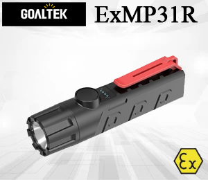 Goaltek ExMP31R