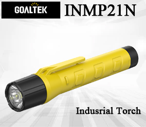 Goaltek INMP21N